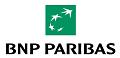 BNP Paribas India Logo