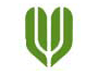 Bharat Overseas Bank Logo