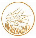 Bank of Central African States Logo